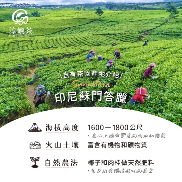 【淳嶼茶】晨露香草香翠玉烏龍茶葉150gx4包(共1斤)