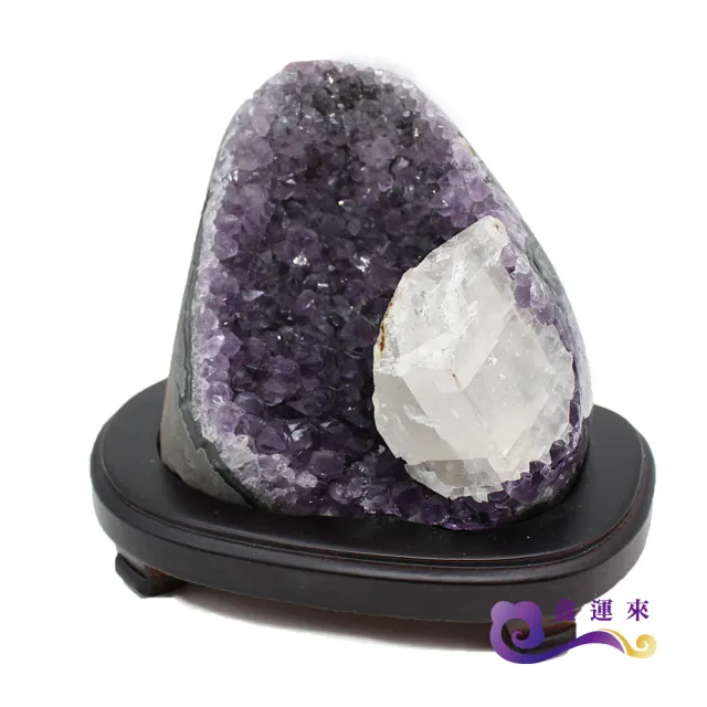 【鑫運來】◎招財開運共生紫晶鎮(2-3kg)