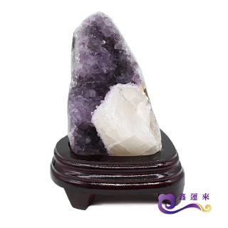 【鑫運來】◎招財開運共生紫晶鎮(1-2kg)