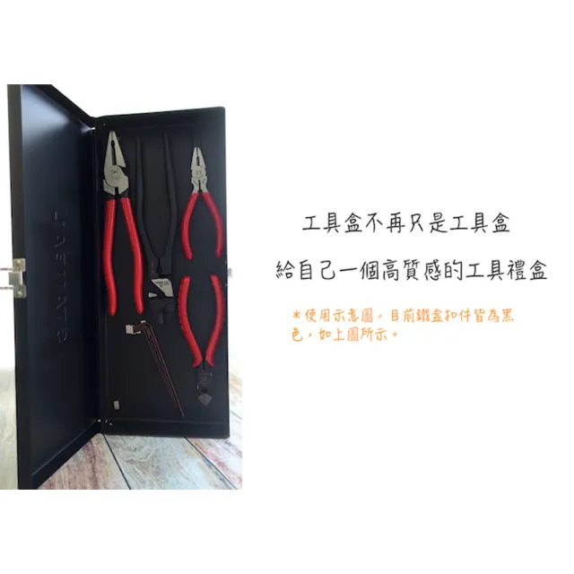 【Caiyi 凱溢】高質感霧面噴砂收納鐵盒 收納盒 工具 盒工具箱台灣製(收納鐵盒)