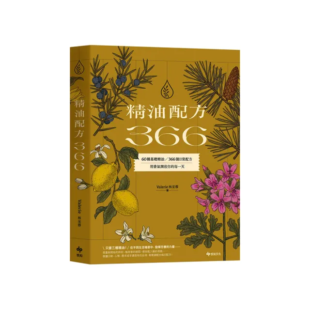 【2026】塑身美妝推薦10款高評價塑身美妝品牌排行 | 好吃美食的八里人