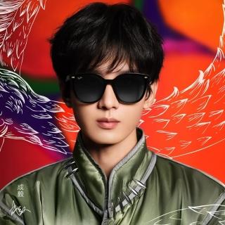 【RayBan 雷朋】蛇年限量款☆修顏膠框太陽眼鏡 RB4423D-68078G 66mm(禮盒、禮品、禮物、送禮首選)
