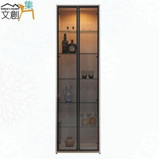 【文創集】達斯2尺鋁框玻璃二門收納櫃(內建LED燈)