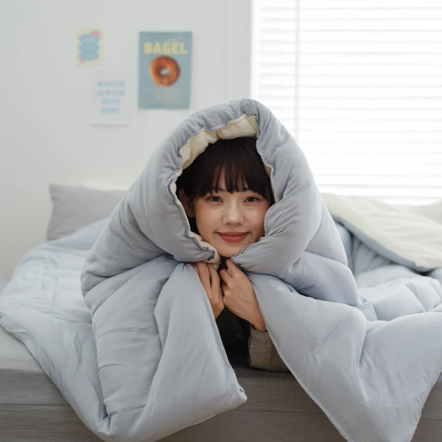 翔仔居家 JIS日規 98D 法國產灰鵝絨冬被(雙人)優惠推
