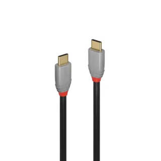 【LINDY 林帝】LINDY 林帝 ANTHRA USB 3.2 Gen 2x2 Type-C 公 to 公 傳輸線 + PD 智能電流晶片 2m 36903