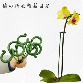【POKO】植物支撐桿 蘭花支撐架 10入(17cm固定架 爬藤 園藝支撐桿 觀葉植物 園藝用品固定架)