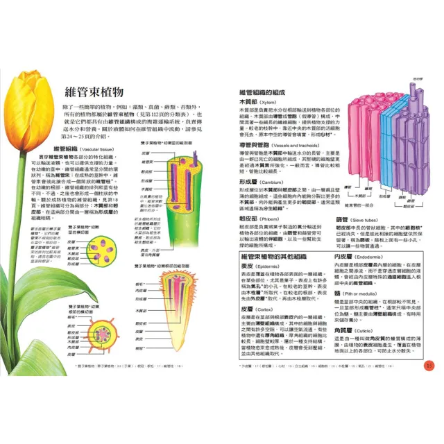 國高中生必備圖解科學辭典（化學、生物、物理、數學全套4冊）