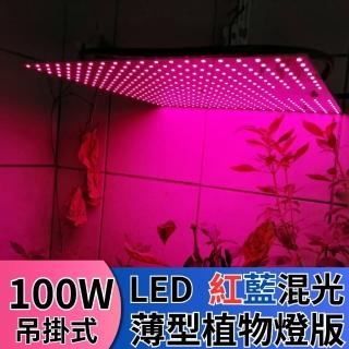 【JIUNPEY 君沛】LED100W薄型植物燈板 100瓦吊掛式植物燈 紅藍混光 專業型光譜(植物燈)
