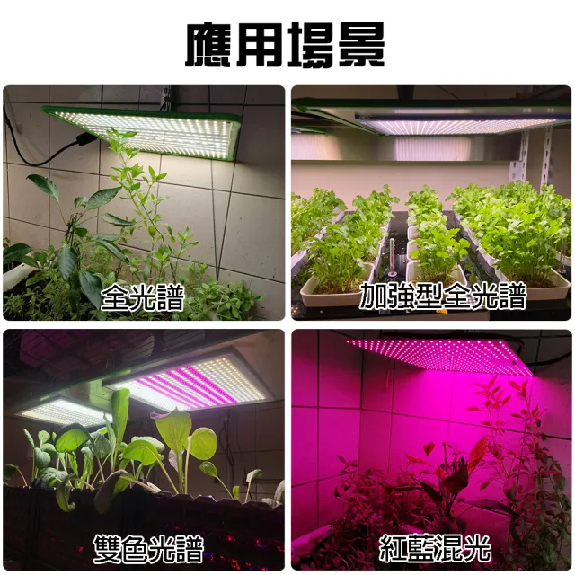 【JIUNPEY 君沛】LED100W薄型植物燈板 100瓦吊掛式植物燈 紅藍混光 專業型光譜(植物燈)