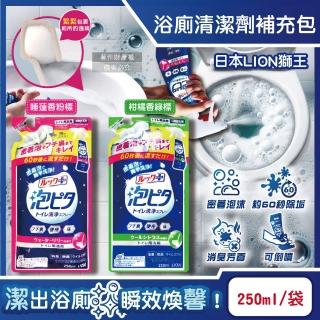 【日本LION獅王】LOOK PLUS密著泡沫約60秒除垢消臭浴廁馬桶清潔劑補充包250ml/袋(衛浴地板潔廁噴霧液劑)