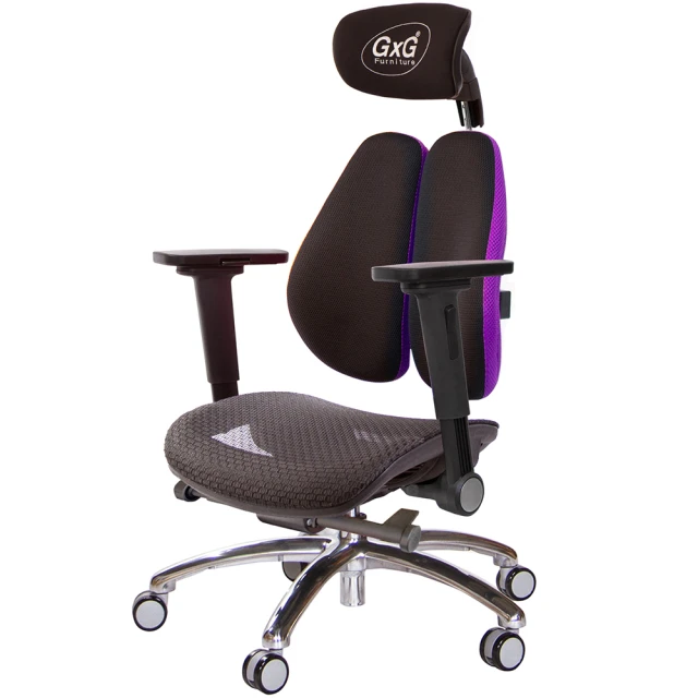 GXG 吉加吉 大網座 雙背工學椅 鋁腳/4D平面摺疊扶手(TW-3676 LUA1H)