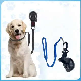 【解放雙手】寵物洗澡固定繩(毛孩 寵物美容 用品 剃毛 吹毛 美容台 防亂動 吸盤固定  防抓 狗狗 貓咪)