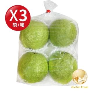 【盛花園蔬果】高雄燕巢珍珠芭樂 1.2kgx3袋(國民水果 現採直送)