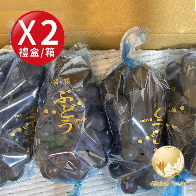 盛花園蔬果 南投信義鄉巨峰葡萄(2Kg x2盒)