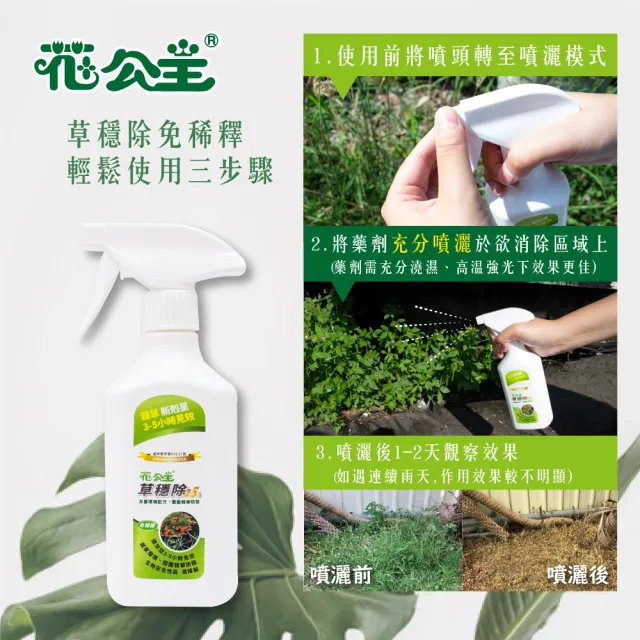 【花公主】2.5% 草穩除免稀釋液劑
