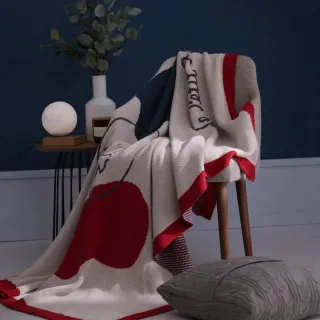 【飛航模飾】法國小王子聯名 100%純棉 針織沙發冷氣毯-120x160cm(自我時光 毛毯 冬被)