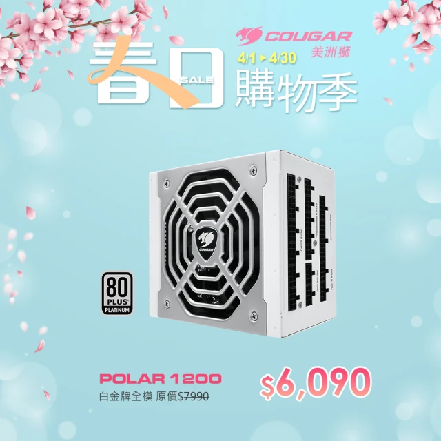 電源供應器白金