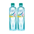 【台鹽】海洋鹼性離子水600mlx2箱/共48入(官方直營)  (TQF微笑標章)