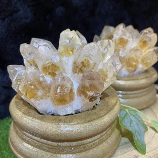 【Cozy 世界水晶原礦與茶】黃銀山晶花簇養晶晶品 28-1(具有增強財運功效)