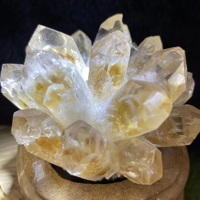 【Cozy 世界水晶原礦與茶】黃銀山晶花簇養晶晶品 28-1(具有增強財運功效)