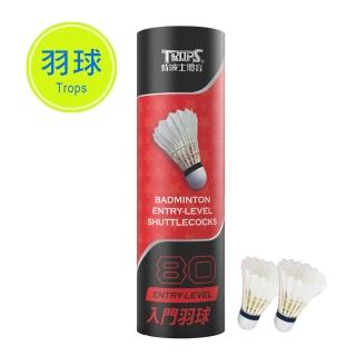 【SUCCESS 成功】45080精選全支羽毛球 入門款羽球-12入(羽球/羽毛球)