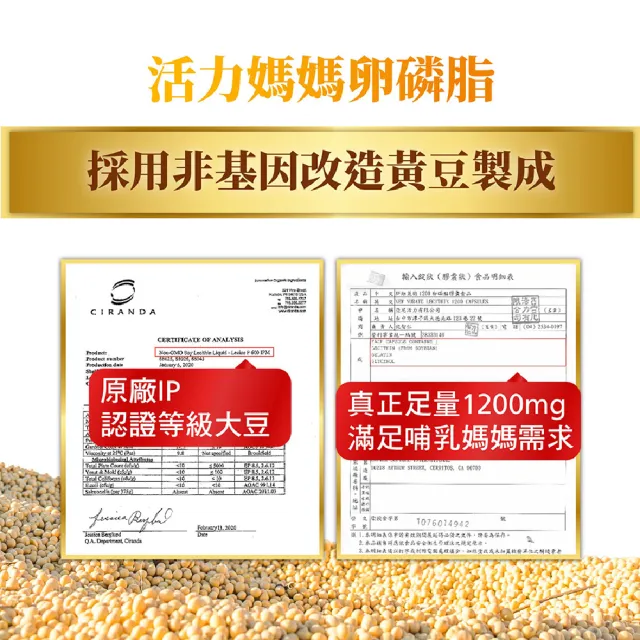 【活力媽媽】卵磷脂3盒組(共300顆;高單位非基改/每顆1200mg)