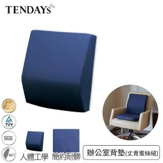 【TENDAYS】DISCOVERY辦公室背墊(丈青蜜絲絨 腰墊背墊)