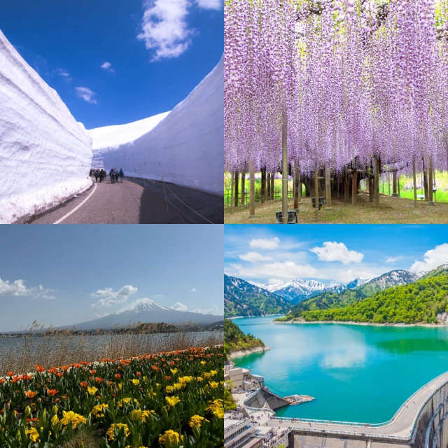喜鴻假期 【邂逅下龍灣世遺之美５日】夜宿海上郵輪一晚、英雄島