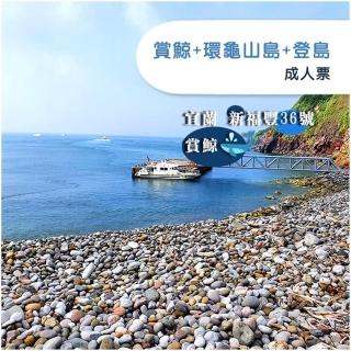 【宜蘭-新福豐36號】新福豐36號賞鯨+環龜山島+登島-成人票