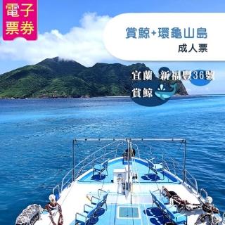 【新福豐36號】賞鯨+環龜山島-成人票