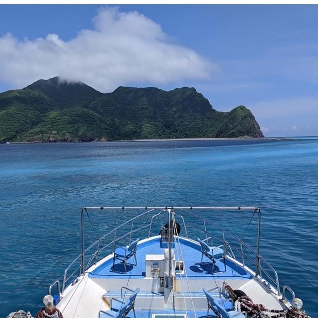 【新福豐36號】賞鯨+環龜山島兒童票