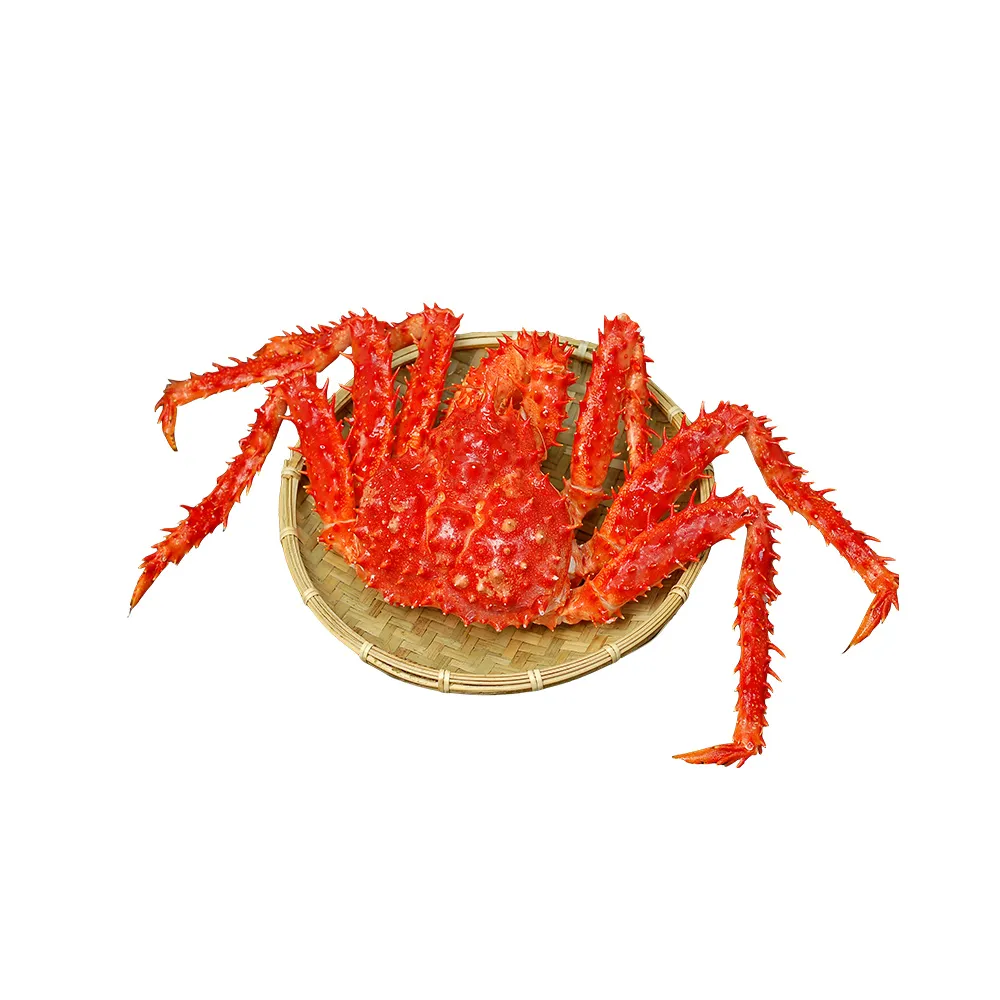 【優鮮配】XXXXL巨無霸智利帝王蟹(3.6-3.8kg/隻)