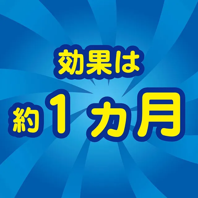 【KINCHO 日本金鳥】強效型果蠅誘捕吊掛4入-兩盒組(果蠅誘捕4入-兩盒組)