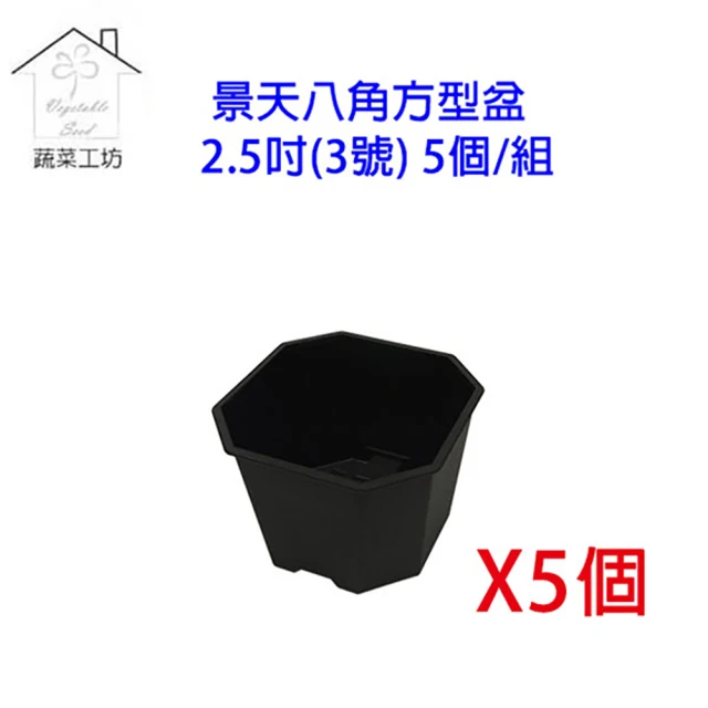 蔬菜工坊 景天八角方型盆2.5吋-黑色-5個/組(3號)