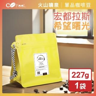 【Cofeel 凱飛】現烘豆宏都拉斯希望曙光咖啡豆半磅-中深烘焙(227g/袋)