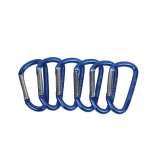 【Camping Ace】野樂鋁合金D型扣環6入組 ARC-1560-13 露營扣 水瓶扣(登山扣 掛鉤 鑰匙扣 背包扣)