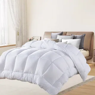 【三浦太郎】舒眠經典超輕柔銀離子羽毛被2.0Kg/買一送一(羽絲絨被/羽絨被/棉被/被子)