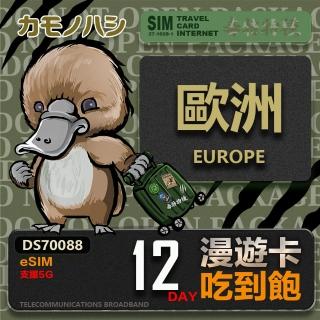【鴨嘴獸Platypi.IF】歐洲eSIM 漫遊卡 12日吃到飽 歐洲上網絡卡(歐洲地區 免插卡 eSIM卡)
