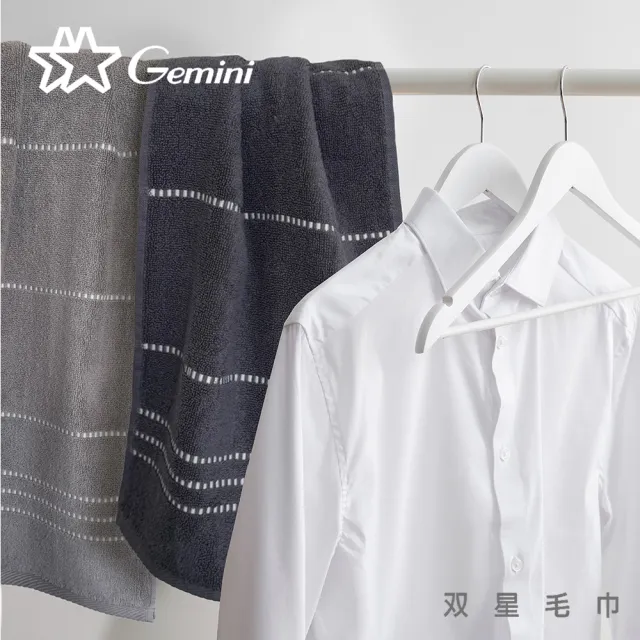 【Gemini 雙星】官方直營 極簡緞影無捻紗毛巾(超值2入組-4色任選)