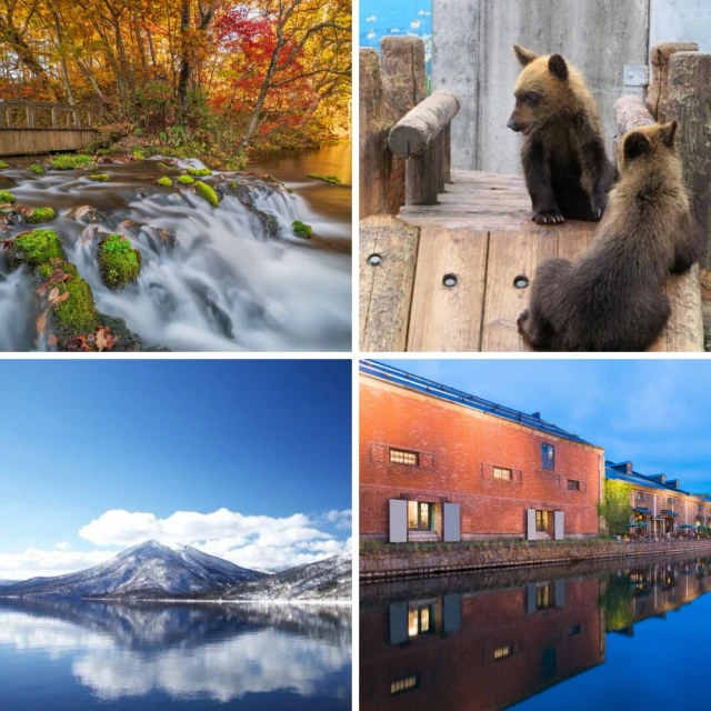 北海道留壽都賞櫻趣五日 北海道神功、大雪山公園、羊蹄山名水(