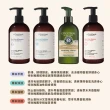 【歐舒丹】草本洗髮乳500ml 2入組(多款任選 國際航空版 強韌/修護/平衡/淨涼洗髮精)