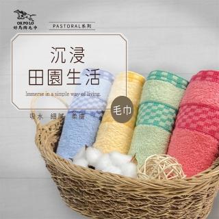 【OKPOLO】臺灣製造田園蔬果吸水毛巾-12入組(純棉家庭首選)