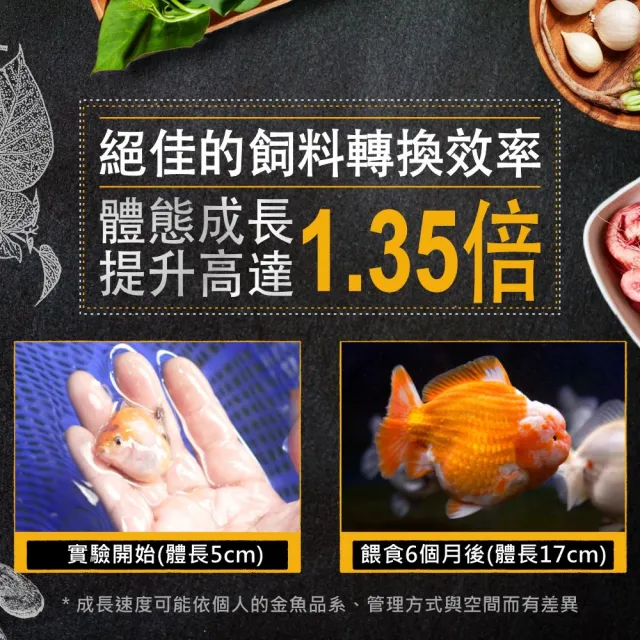 【Ultra Fresh 鮮蝦食譜】APEX金魚-全季節濃郁色揚成長脆片1150ml(金魚飼料 蘭壽飼料 獅頭 色揚 魚飼料)