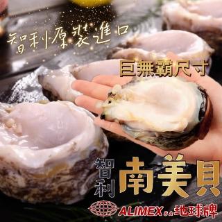 【一手鮮貨】LOCOS智利南美貝XXL(2顆組/單顆200g~250g)
