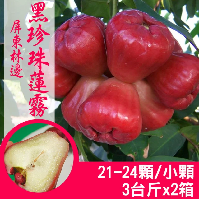 產地直送 屏東林邊黑珍珠蓮霧4台斤X4箱/精裝版(20-26