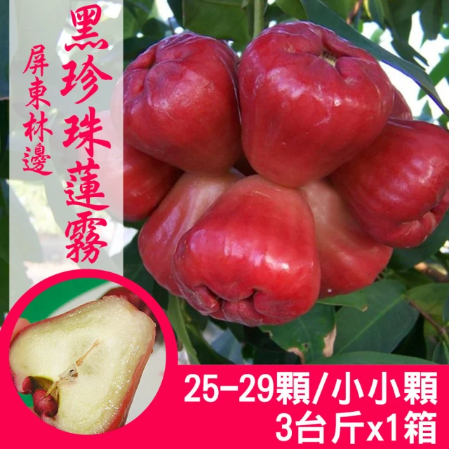 產地直送 屏東林邊黑珍珠蓮霧3台斤X1箱(16-20顆/中顆