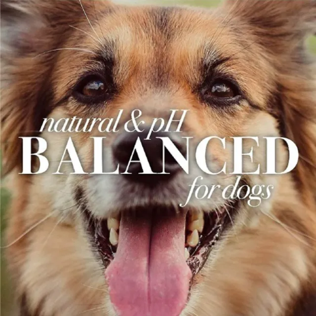 【BURT’S BEES】伯特小蜜蜂 洋甘菊淚痕消除液4oz/118ml*3入組(寵物淚痕消除液)