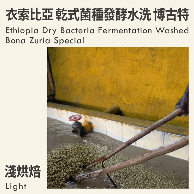 江鳥咖啡 烘豆師典藏咖啡豆3包任選組(454g/包;中淺焙果