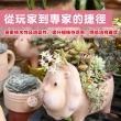 【花公主】多肉植物專用石2L 3件組(多肉植物適用/排水/透氣)