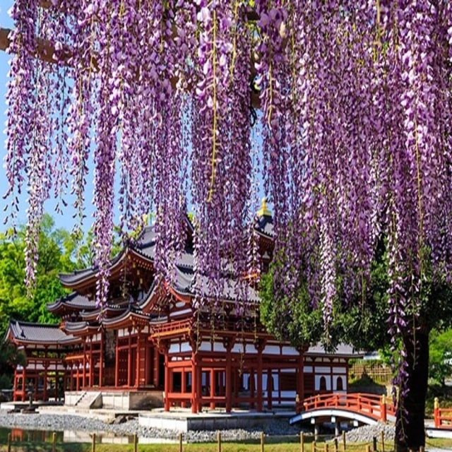 喜鴻假期 【義大利血拚全攻略１３日】阿聯酋雙點進出、四大名城